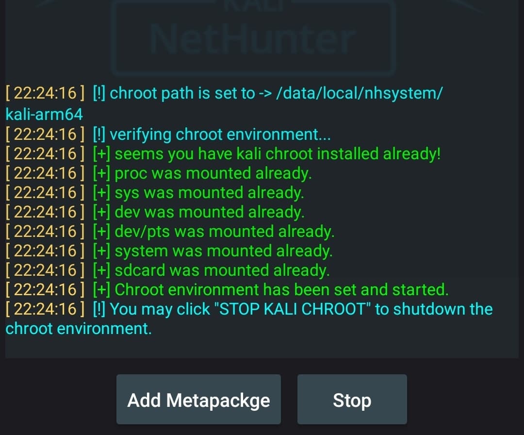 Kali Nethunter Terminal